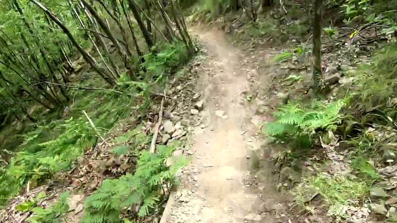 botox + piastrone + cai 10 Trail Javello Prato