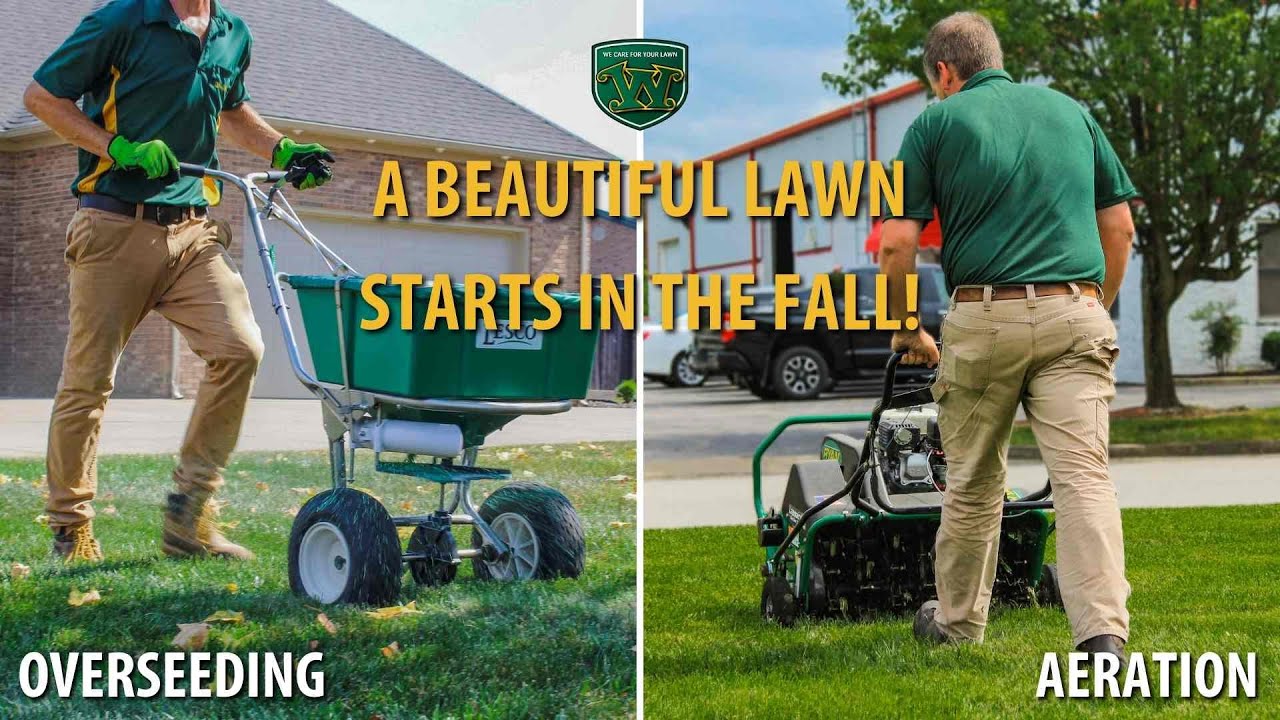 Why You Should Aerate & Overseed Your Lawn