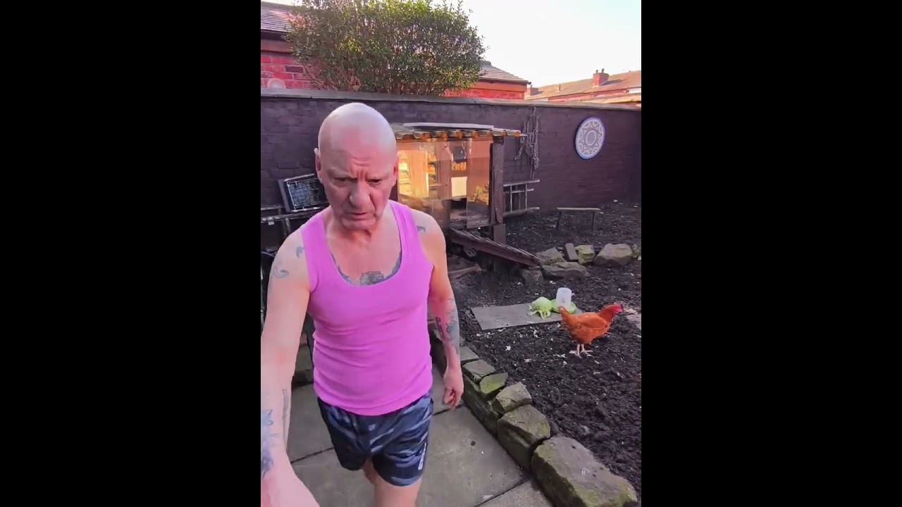 Курицы, кошки и я. Прекрасный вторник, солнечное голубое небо 🐔😸🌞🌻 #catsofyoutube #chickensofyoutube