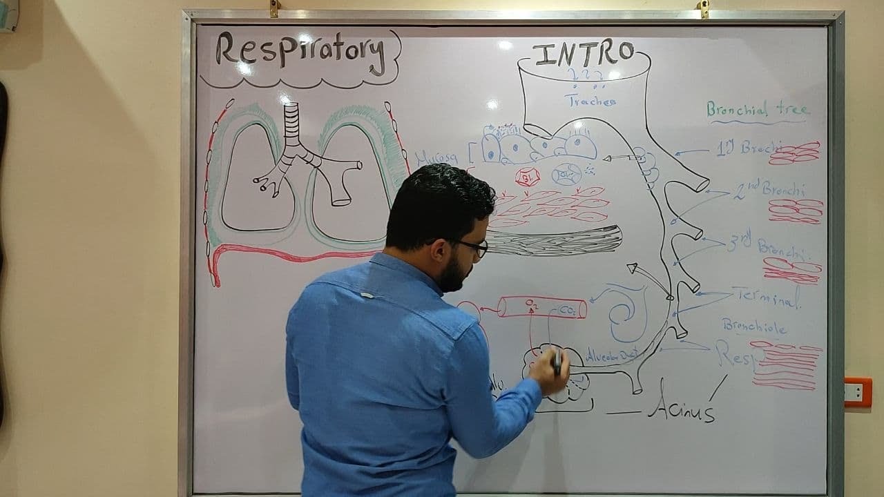 Respiratory Module - ( Introduction + Chronic Bronchitis + Broncho ectasia )
