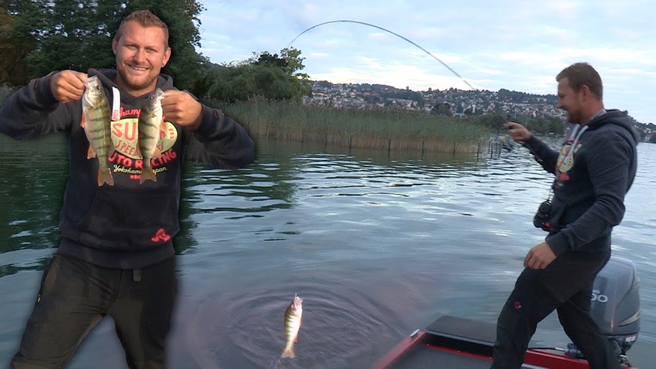 Pecanje bandara na Ciriškom jezeru u Švajcarskoj - Vertikalno pecanje | Egli from Zürichsee Schweiz