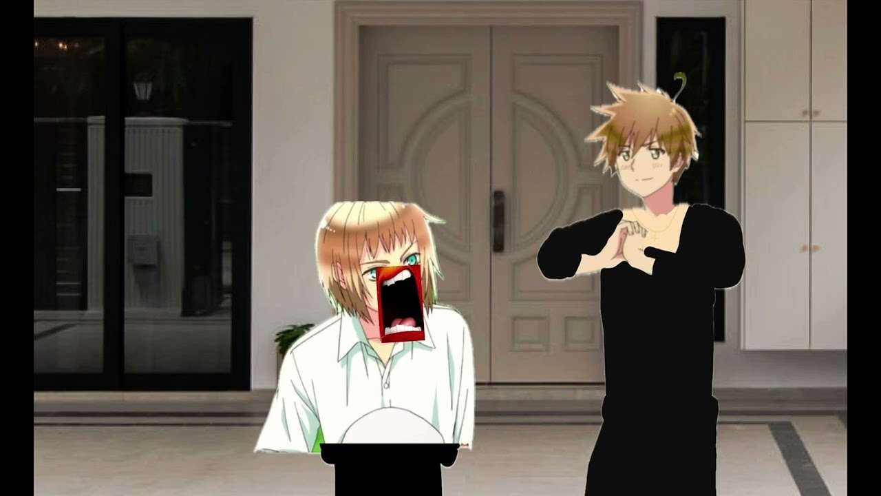 Hetalia Muppets Czechia Slovakia Liechtenstein and Switzerland. Work Out Good Night 