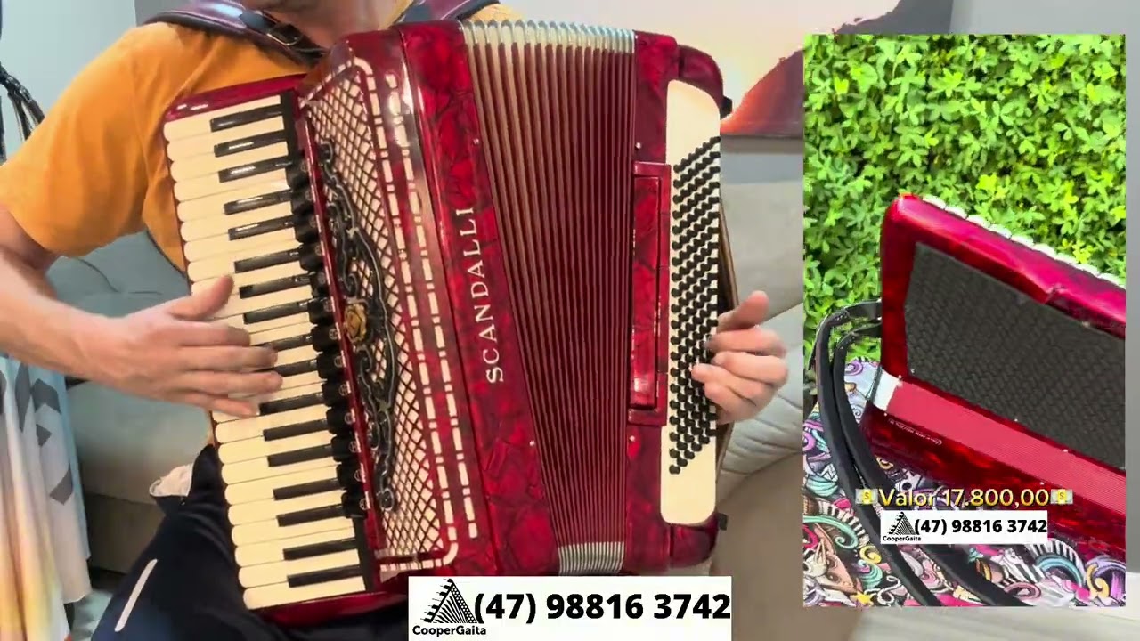 Acordeon Scandalli (italiana) 4/5 de voz Polifônica | Teclado 48cm | Duas tampas | Valor 17.800,00 