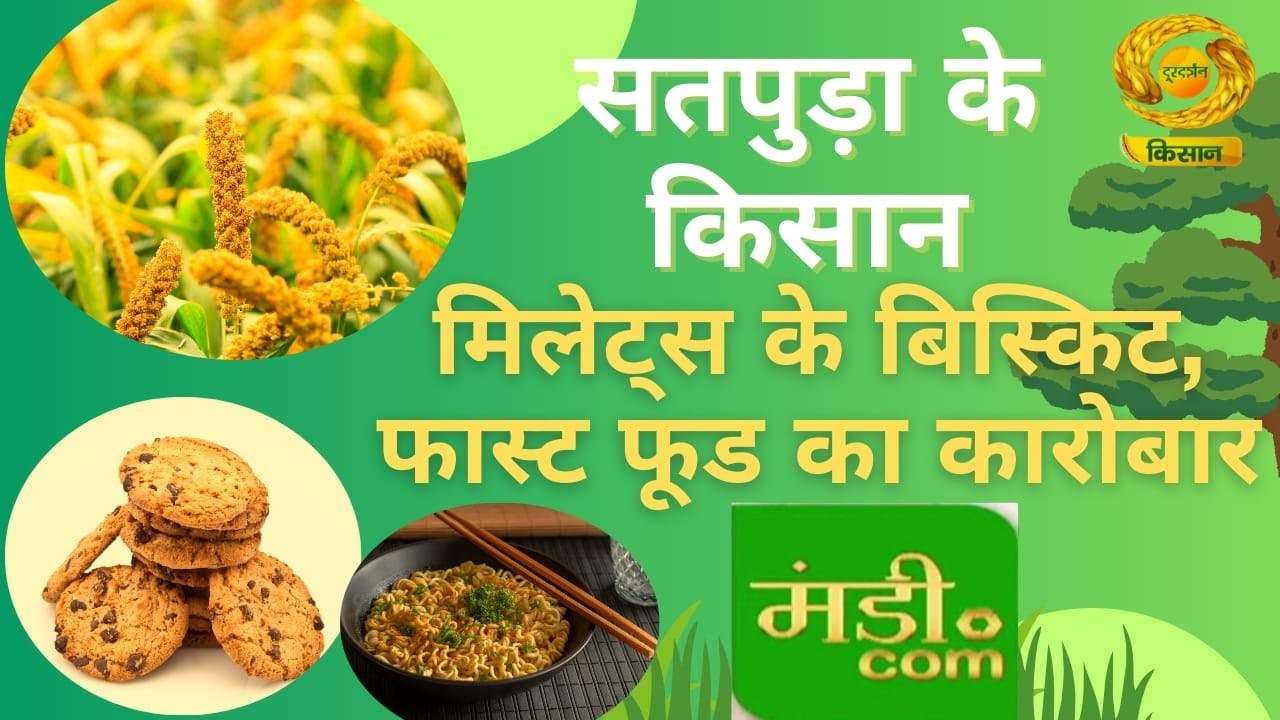 किसानों ने मिलेट्स से बनाए बिस्किट, फास्ट फूड। DD KISAN 28 Dec 2025