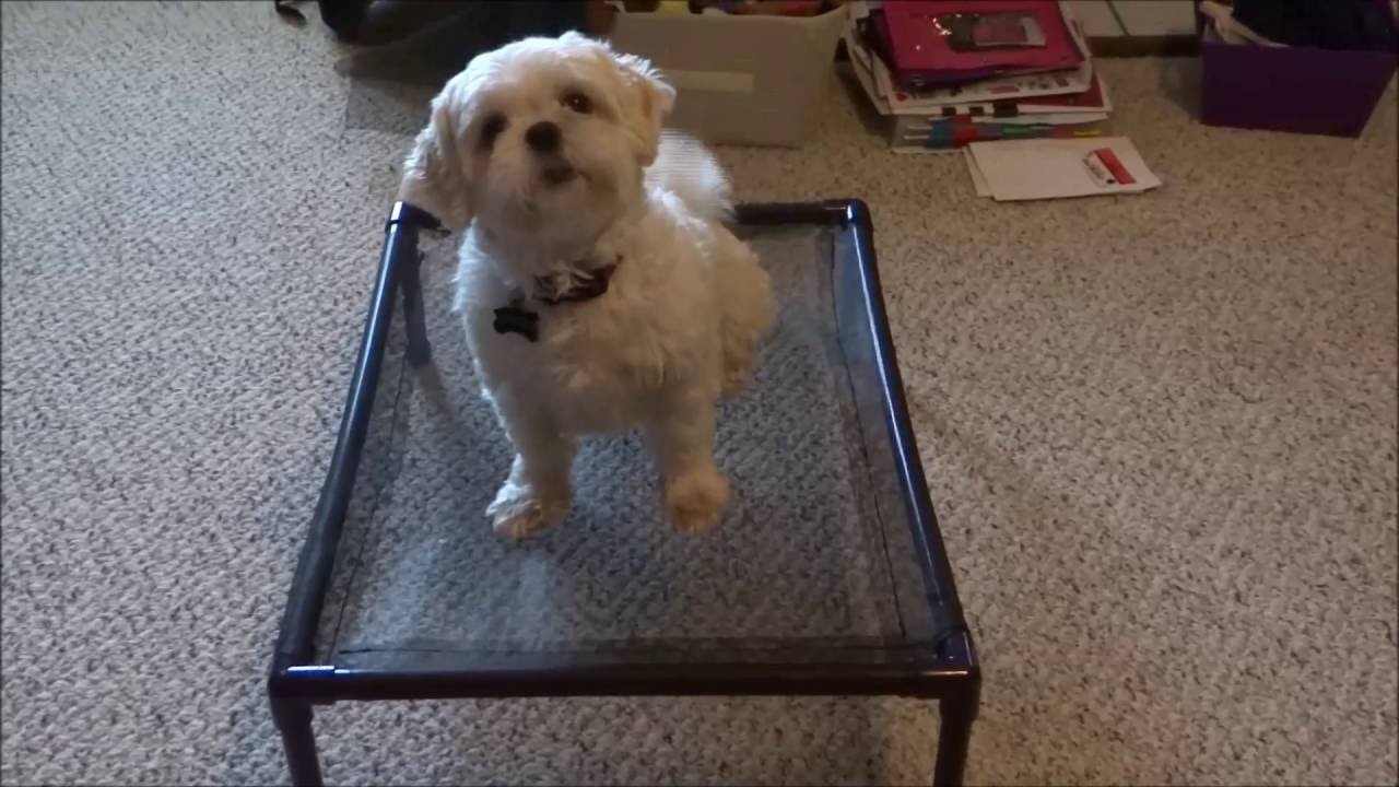 How To Make A PVC Dog Bed For Camping part 2