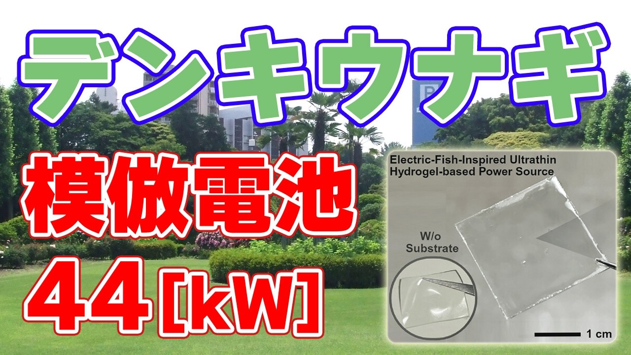 【44kW/㎥】デンキウナギを模倣！驚異の『高出力ゲル電池』誕生！