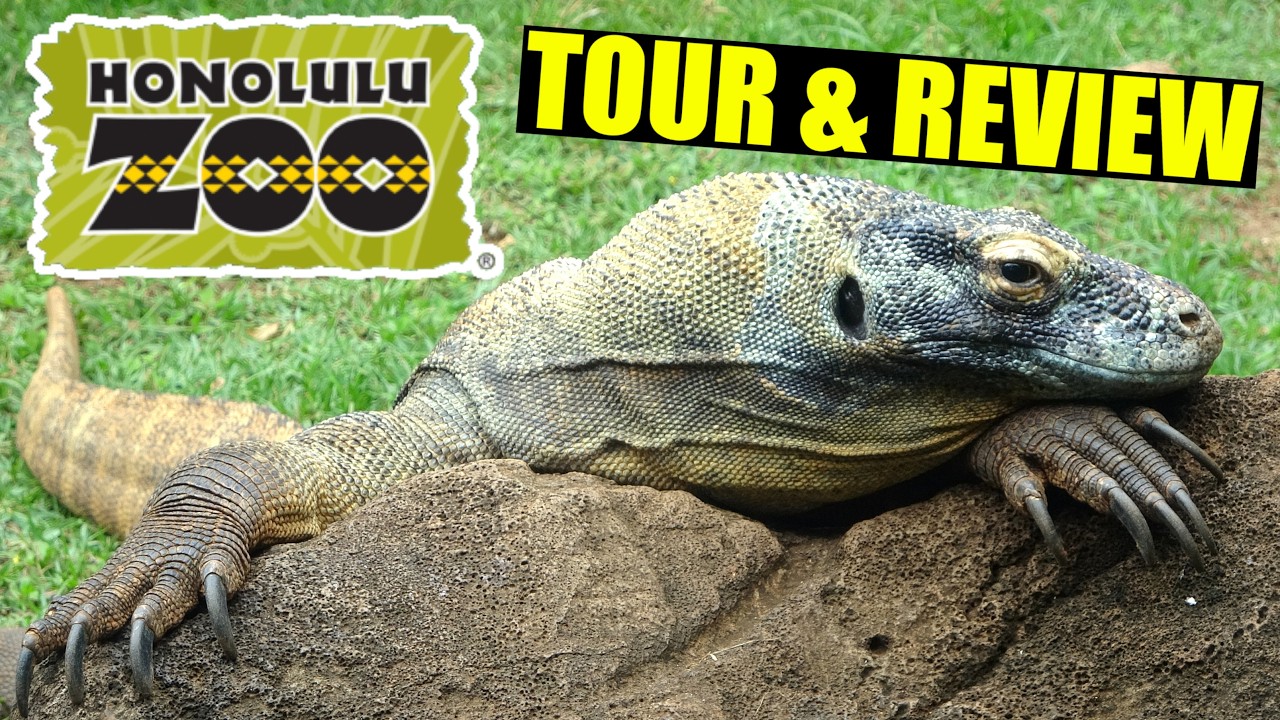 Honolulu Zoo 2025 Tour & Review with The Legend
