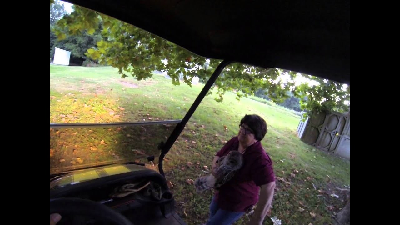 Releasing a Barred Owl