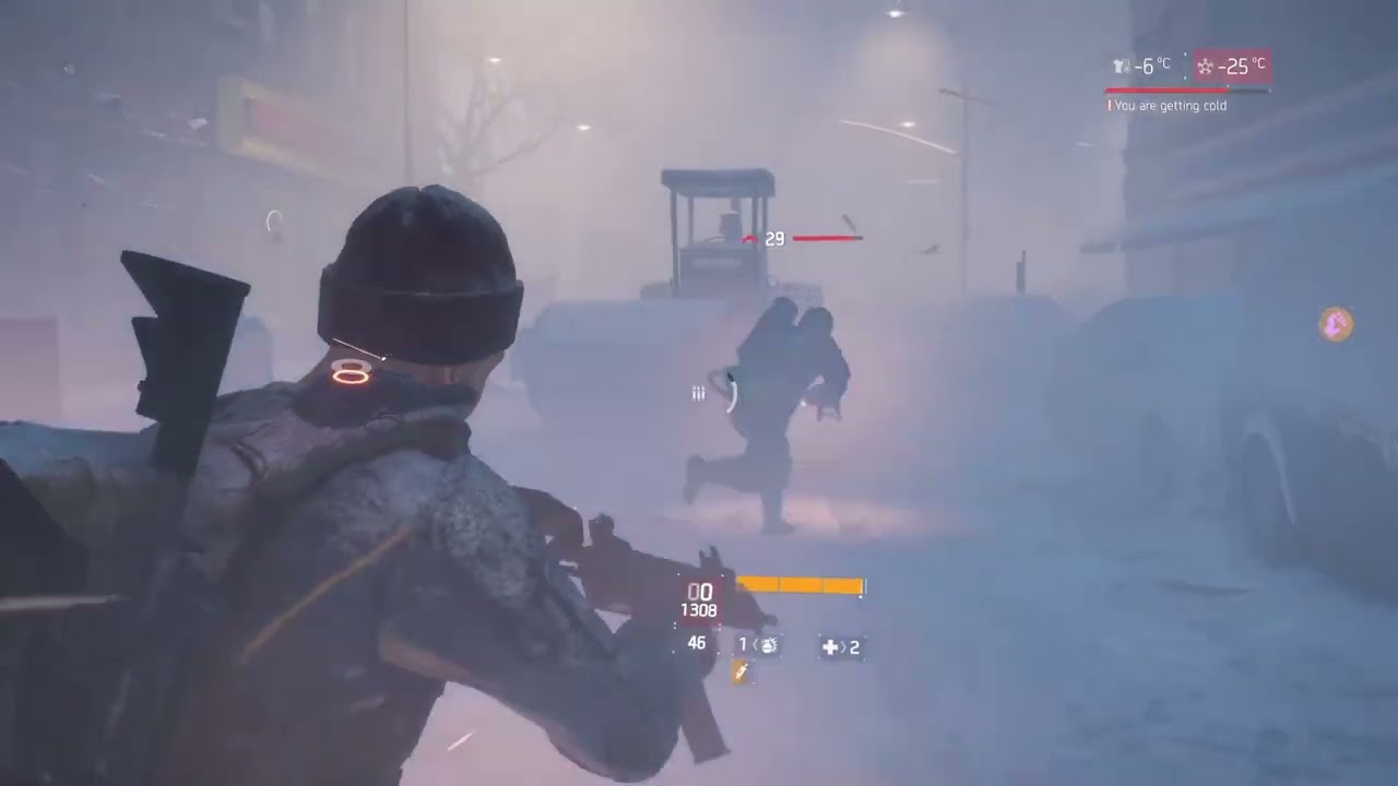 The Division Survival