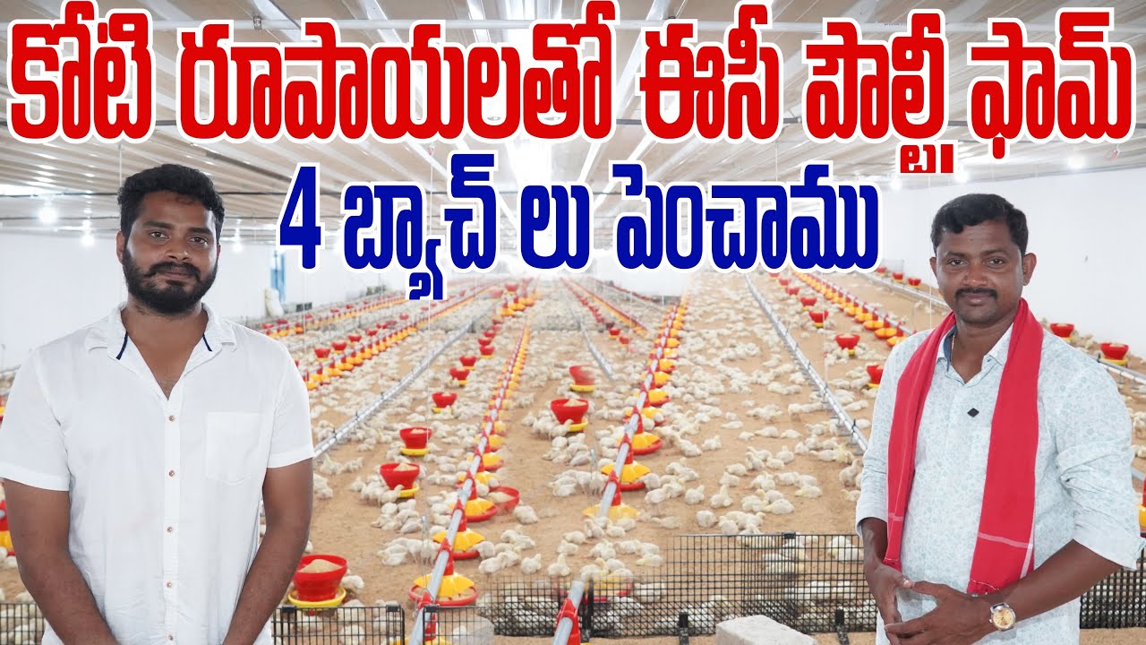 ₹1.15 కోట్లతో 20 వేల కోళ్ల EC Pultry Farm పెట్టాను | రైతు బడి