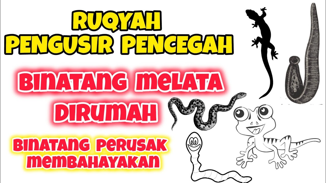RUQYAH PENGUSIR PENCEGAH BINATANG MELATA ULAR CICAK TOKEK ULAT KELABANG LINTAH DAN SEJENISNYA