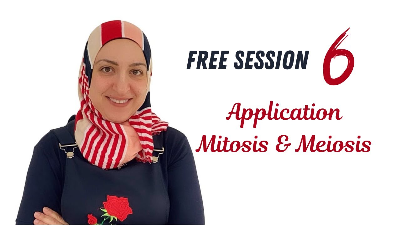 Application: Mitosis and Meiosis (Free session 6)