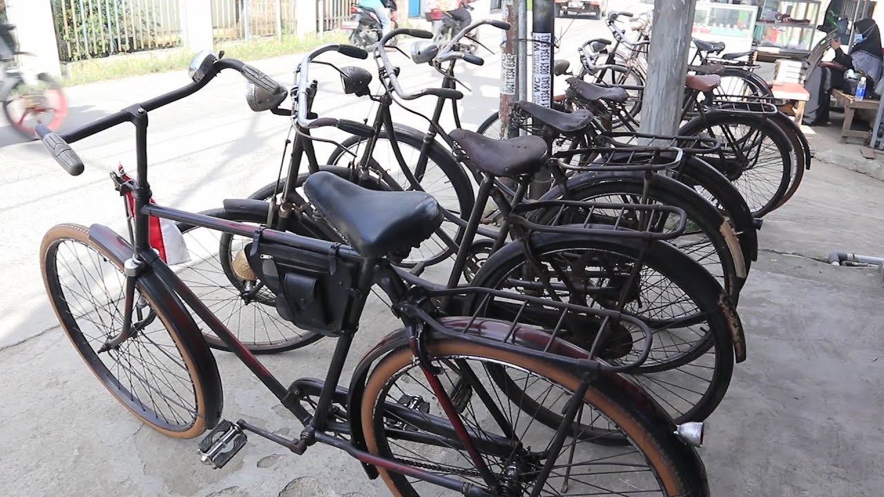 PENJUAL ONTEL DARI BABELAN BEKASI