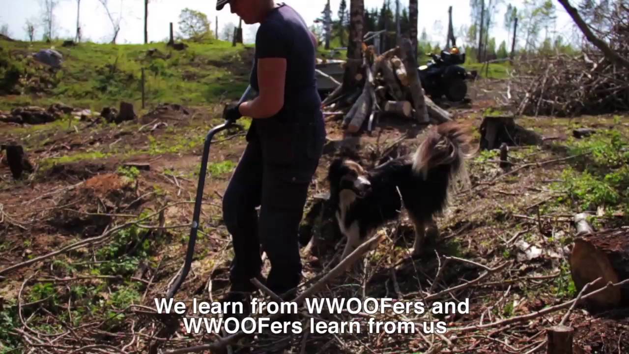 WWOOF Sweden - A farm by a lake in Dalsland.