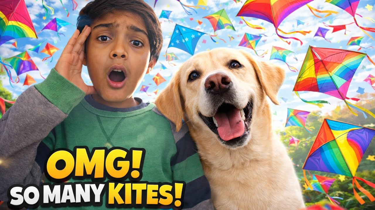 We Got A New Dog Our kites collection