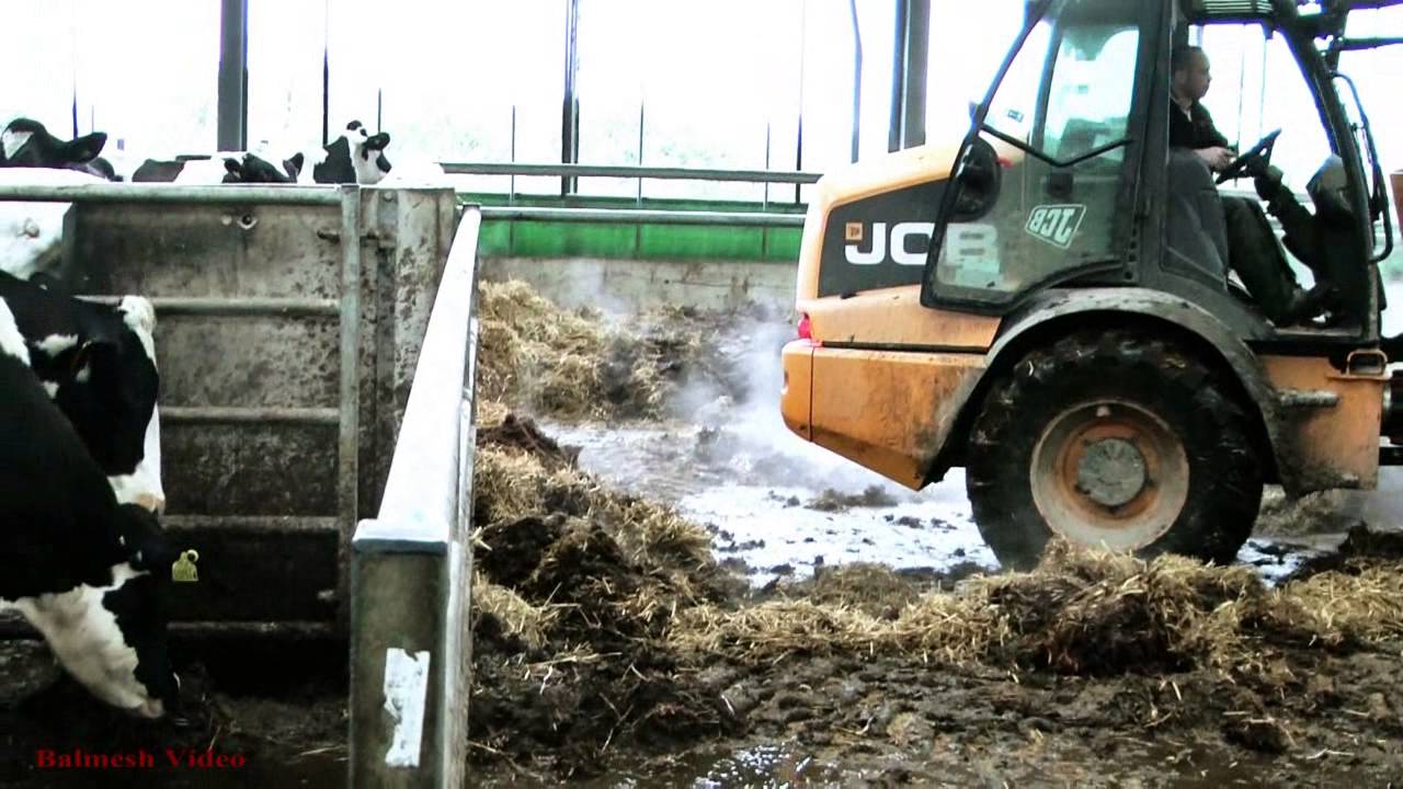 Busy Farm - Having a Clean Out.