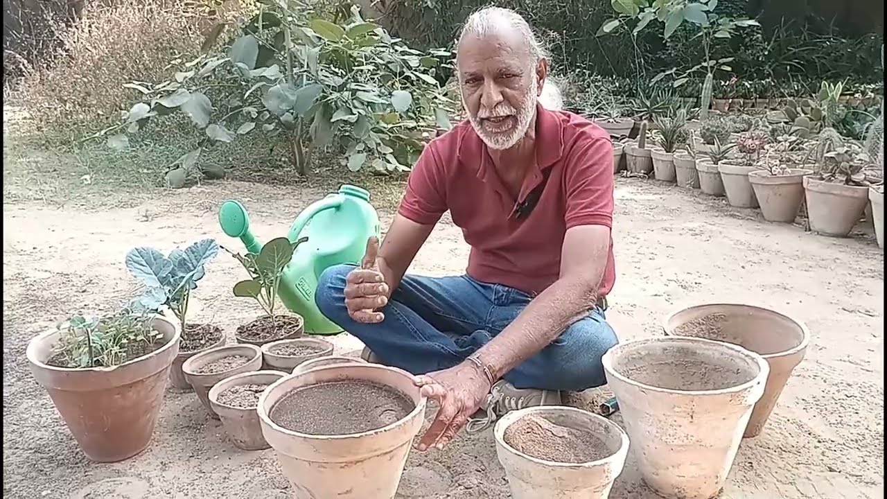 How to Grow your own Kitchen Gardening ||Taufiq Pasha's World ||Pasha Farm House Karachi || Nazish
