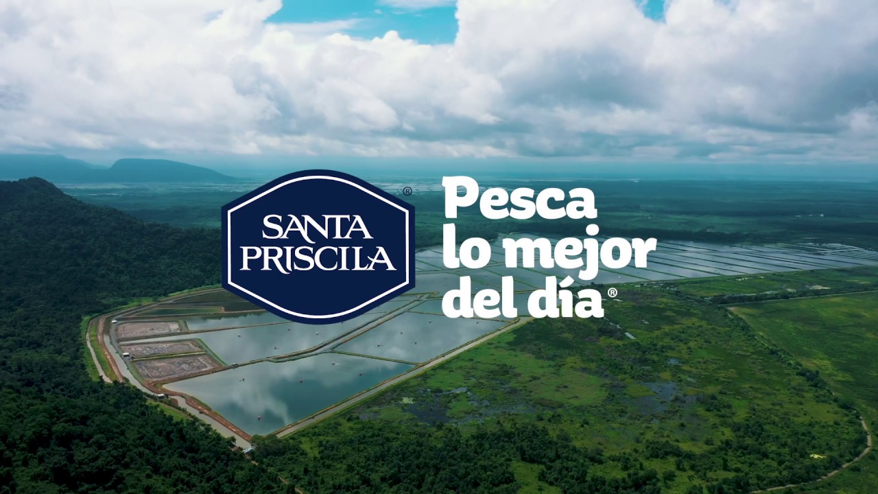 Santa Priscila