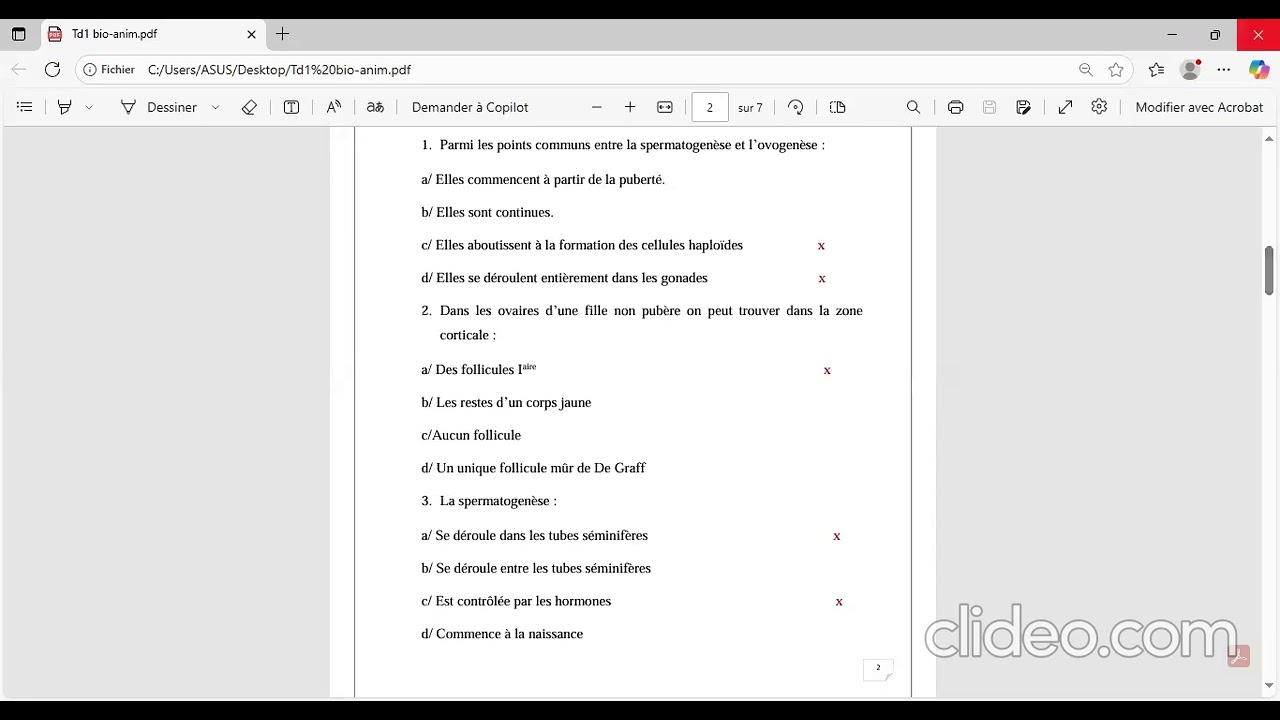 [PREPA 1 - 2025 / 2026] [BG] [Biologie animale] TD Gamétogenèse