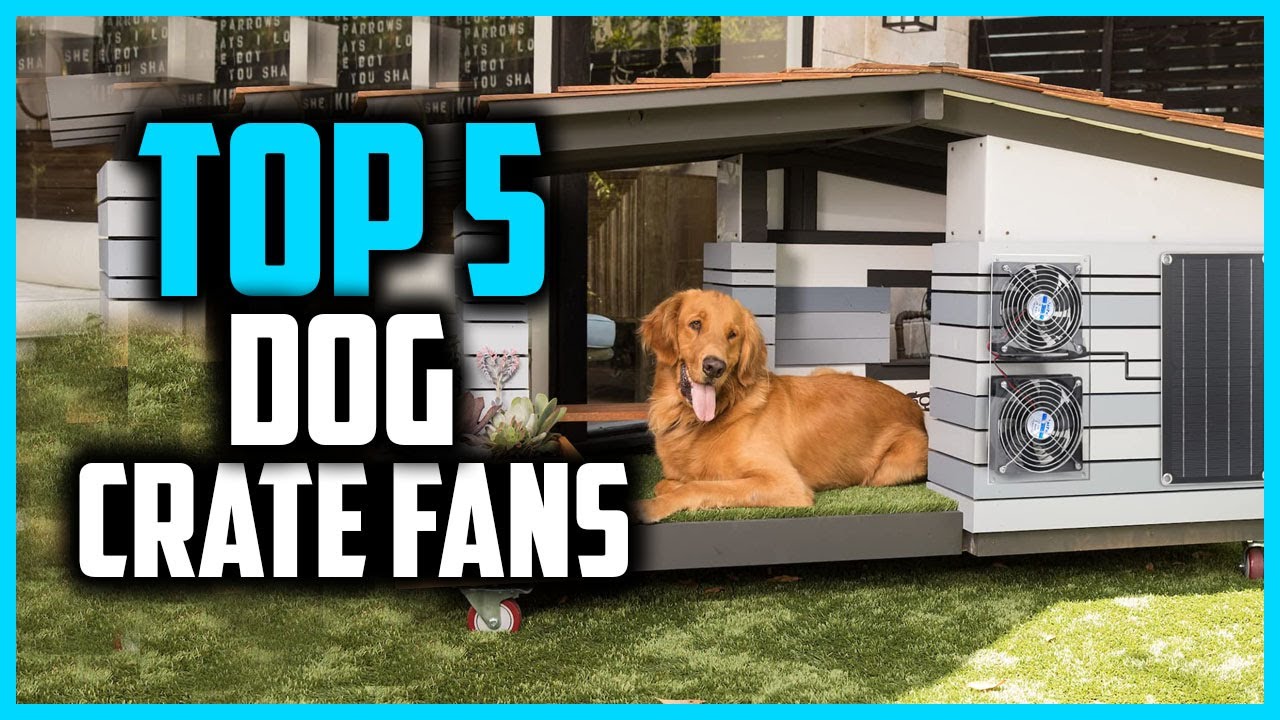 ✅Top 5 Best Dog Crate Fans for Warm Summer Days in 2026