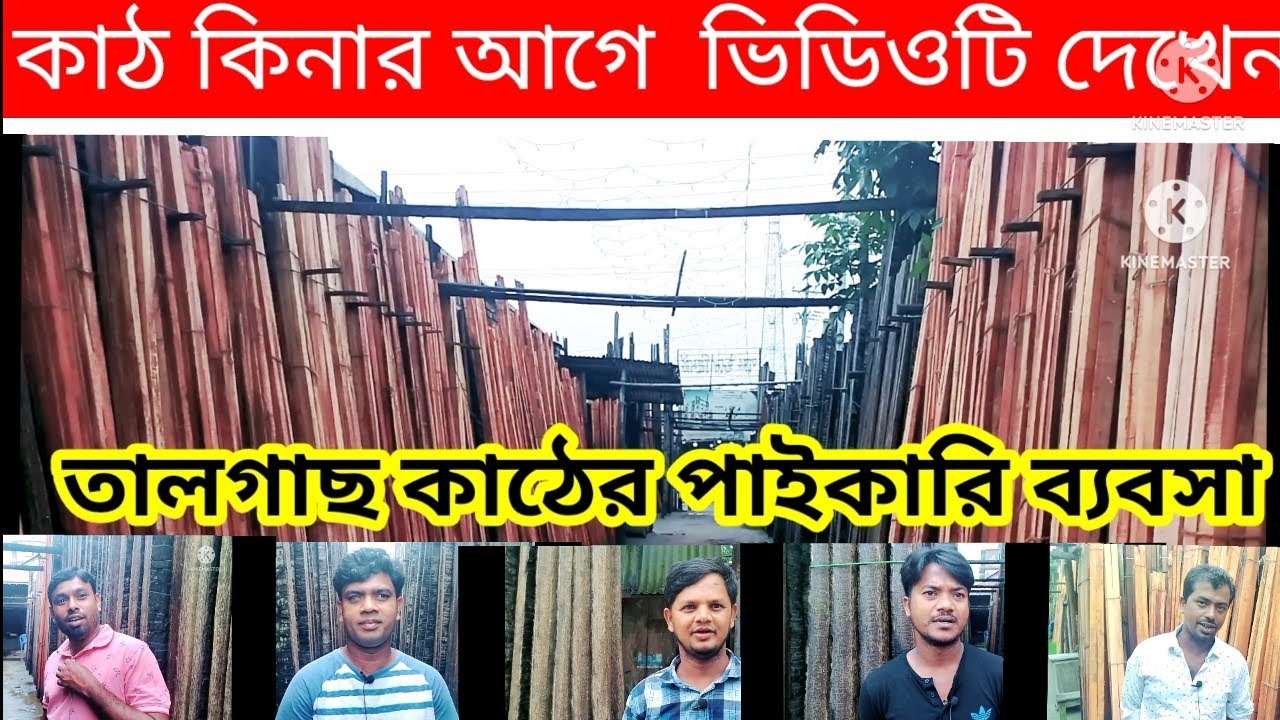 তালগাছ কাঠের পাইকারি ব্যবসা