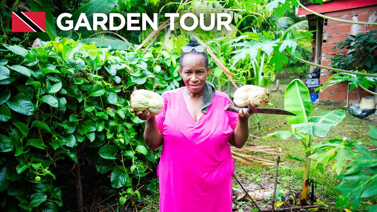 Complete Garden Tour by Ms. Cindy in Grande Riviere, Trinidad & Tobago 🇹🇹 Foodie Nation