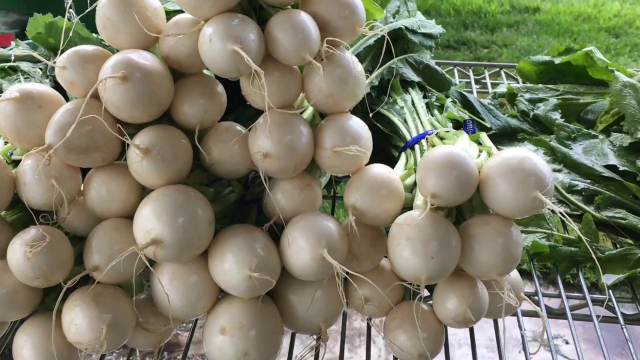 How to Grow Hakurei Turnips