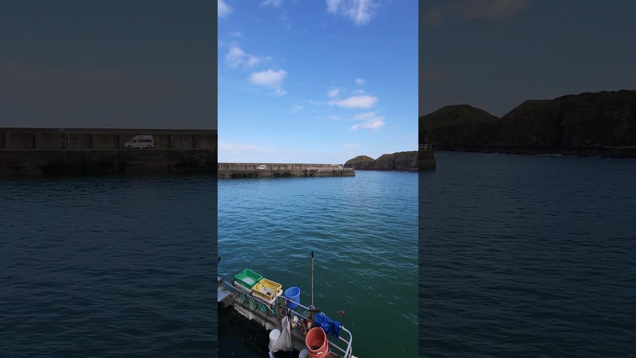 Stonehaven Harbour | Scotland #shorts #stonehaven #harbour #scotland