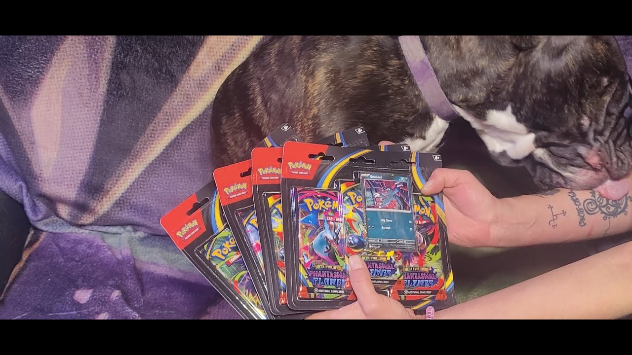 Leia présente Dead Face et Lady MImikyu Phanstamal Flame , 4 trois packs.