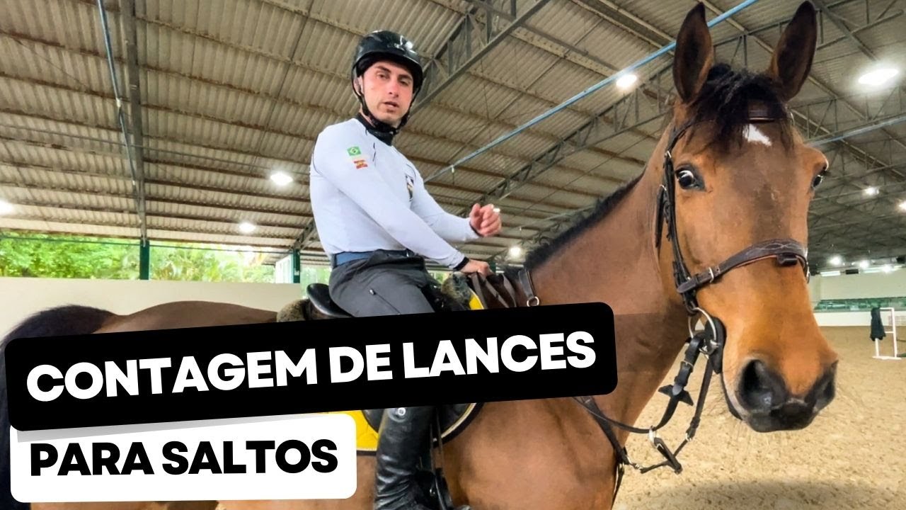 Contagem de Lances - Hipismo