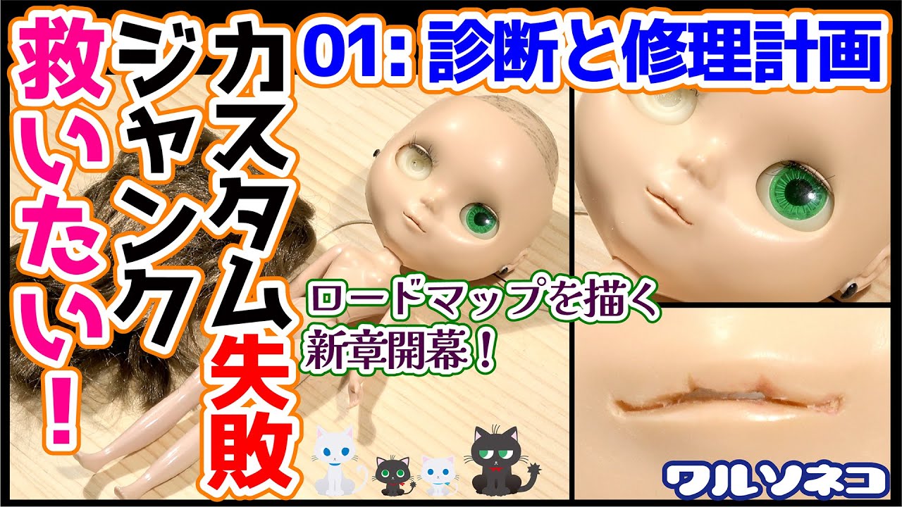 767 カスタム失敗ジャンクネオブライスを救いたい1 症状診断と修理計画 削られた顔,切られた髪,復活へのロードマップ
