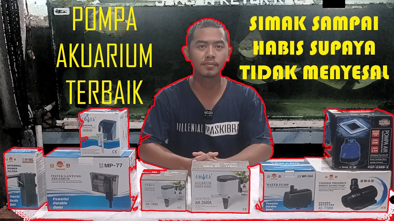 Tips Memilih Pompa Akuarium Terbaik (Jenis-jenis Pompa Aquarium Filter Terbaik)