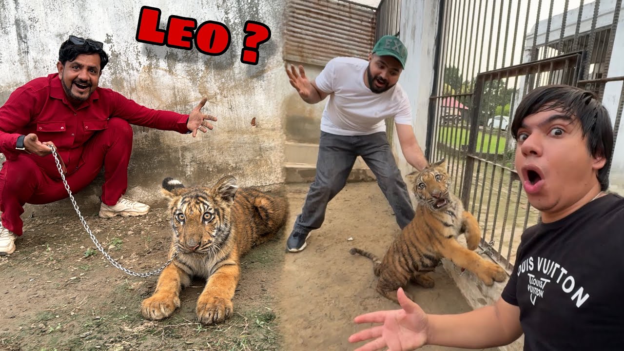 Leo Kaha Or Kis Ka Pass Tha ? Leo Sy Milna Agea 😍