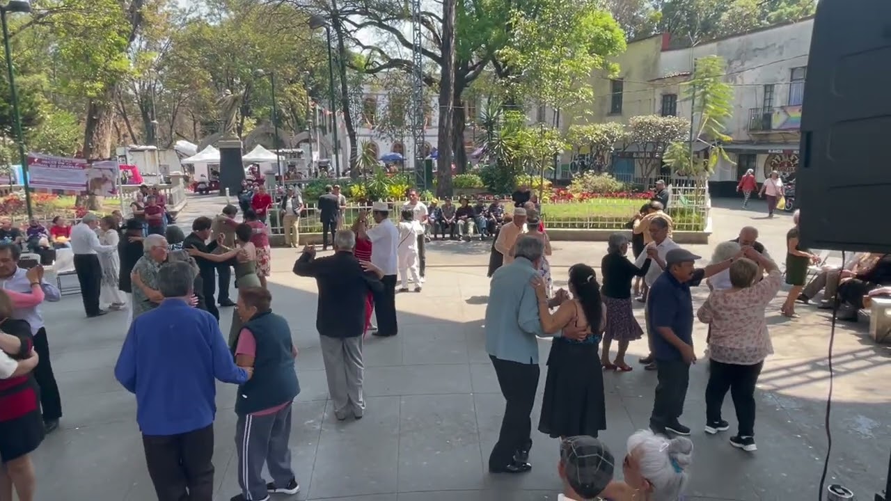 Sábado de danzón jardín Hidalgo Azcapotzalco 
