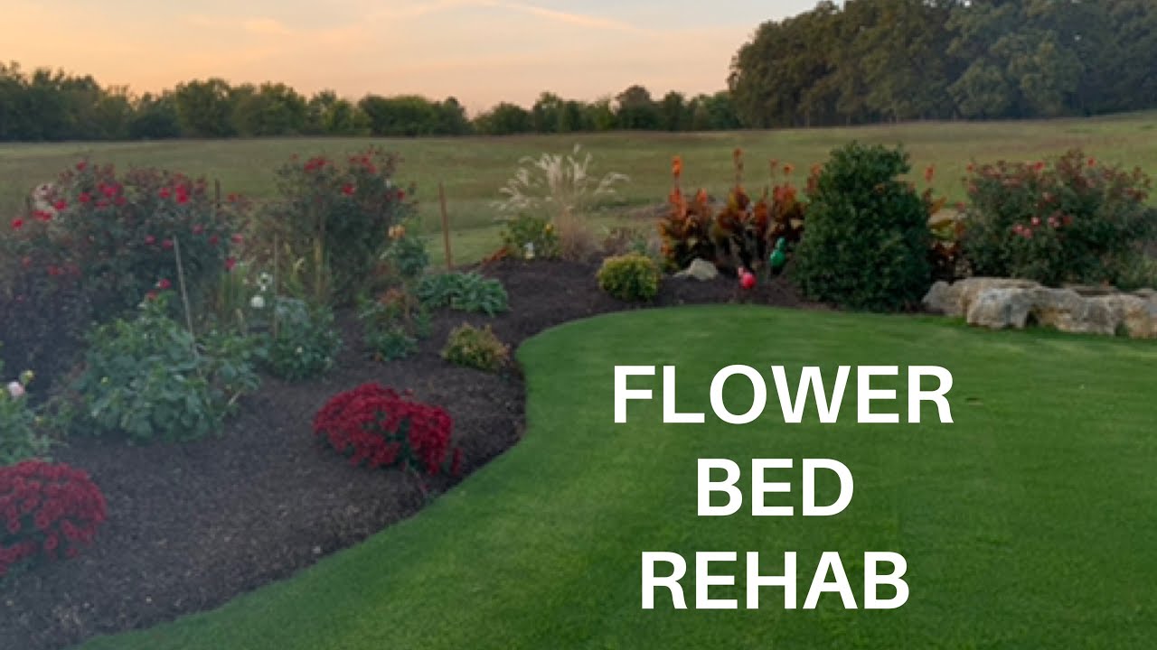 Flower Bed Overhaul - Getting rid of Bermudagrass and Weeds in the flower bed