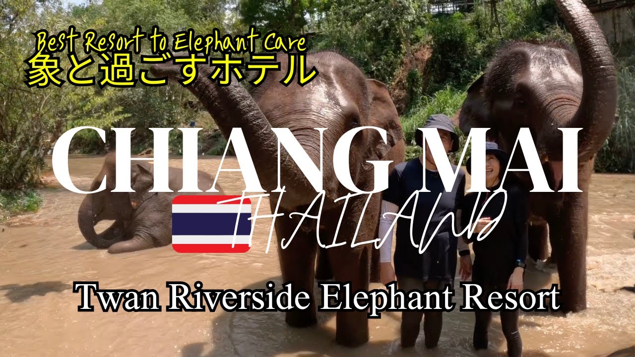 【Chiang Mai チェンマイ】チェンマイの自然の中で象と過ごす Best Resort to Elephant Care 【Tawan Riverside Elephant Resort 】