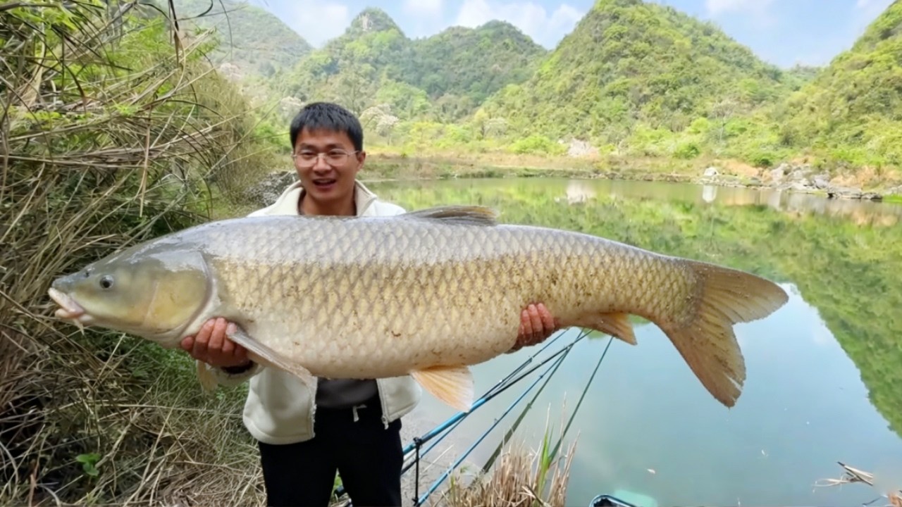 探钓水库垂钓巨物！前往龙潭水库，据说鱼精得躲起来钓，果真一条都没钓到！【小宋野钓】