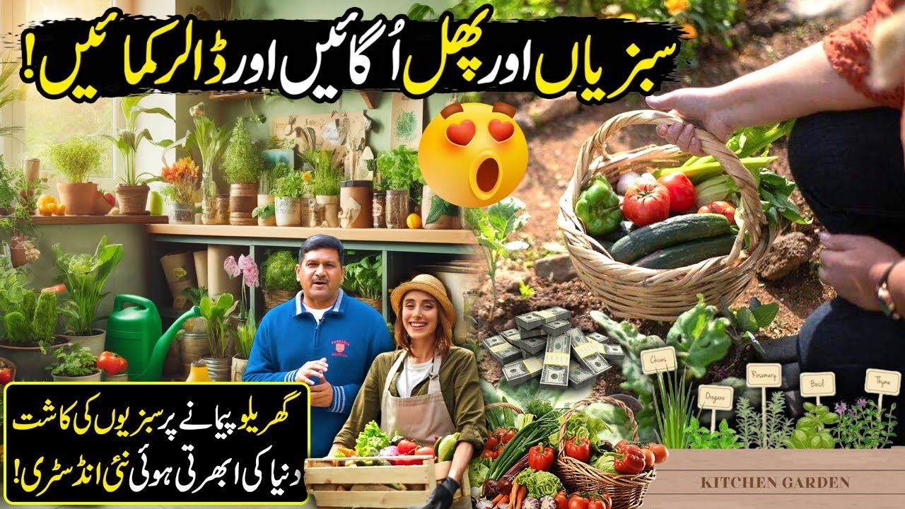 Kitchen Gardening at Home in Pakistan | Grow Your Own Food | Kissan Ka Pakistan | Discover Pakistan