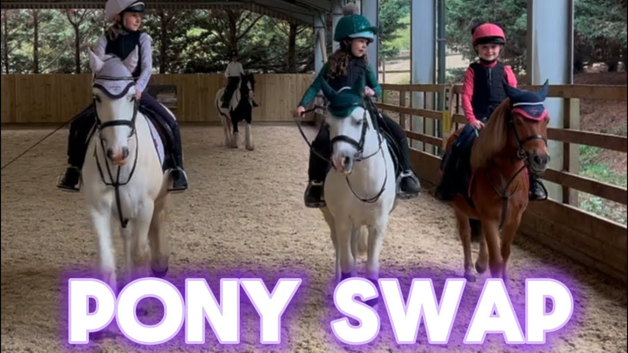 💜PONY SWAP🩷 and PONY CLUB + 💜