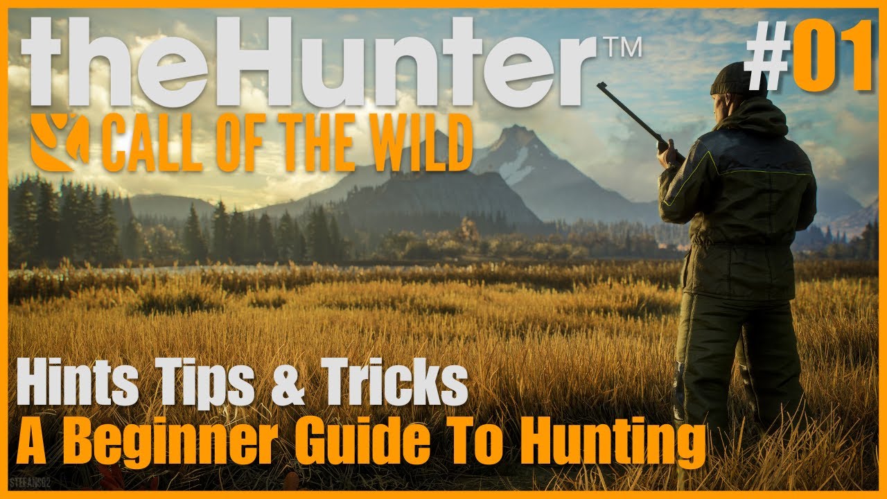 Hints Tips & Tricks, A Beginners Guide To Hunting | Layton Lakes #01 | theHunter: Call Of The Wild