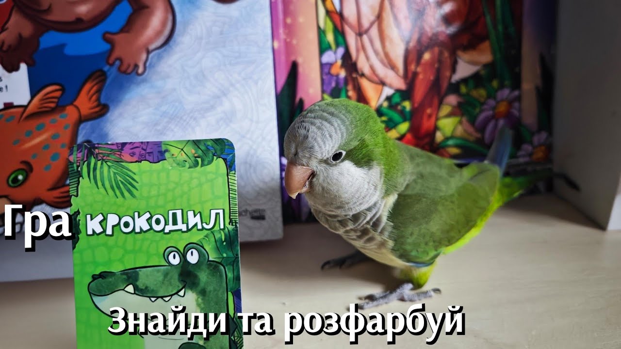 Гра 🎨 Крокодил 