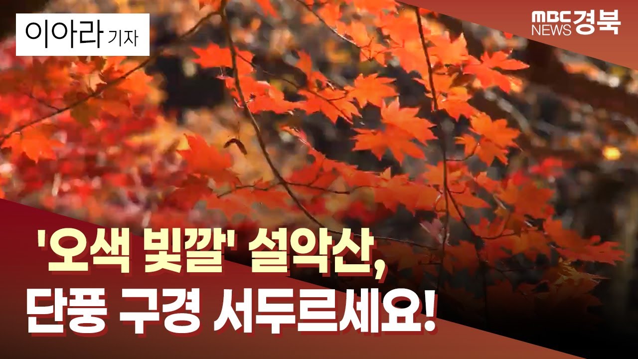 [R] '오색 빛깔' 설악산, 단풍 구경 서두르세요!/ 안동MBC