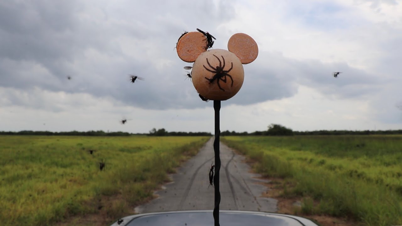 The Compound - ABANDONED Florida