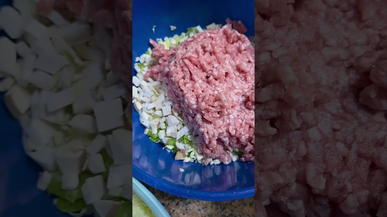 How to make lasagna dumpling. A very life changing trend 2026. So delicious and satisfying.