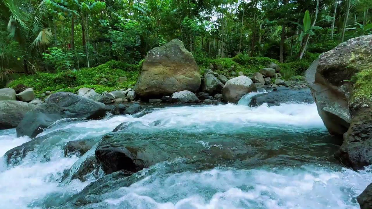 Natural River Sounds 🌿 Relaxing Water Ambience for Deep Sleep