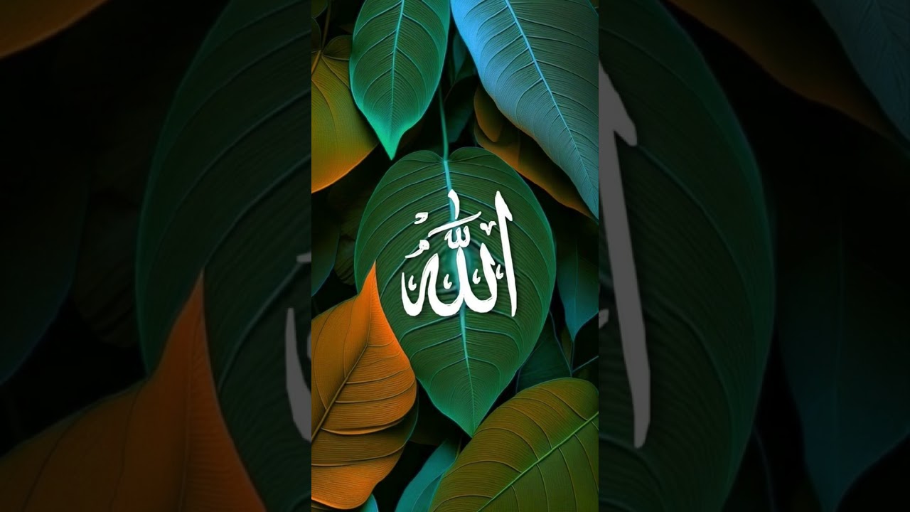 Allah ✅️ #top10 trending