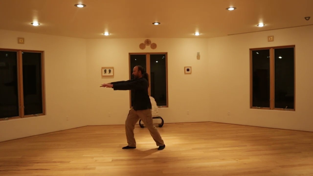 BEIJING 24 TAI CHI SINGLE WHIP TO WAVE HANDS TRANSITION