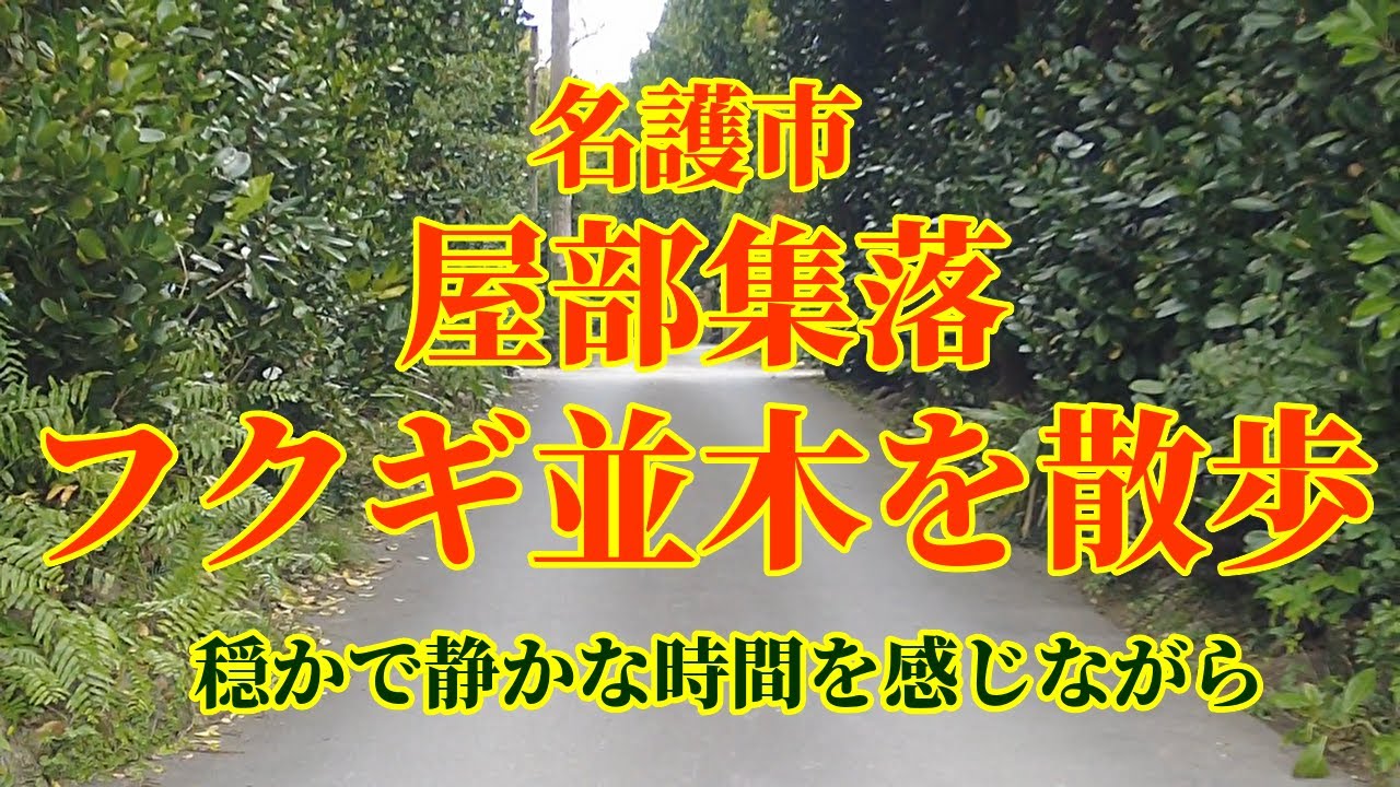 Okinawa Japan Walk Yabu Nago City名護市屋部 フクギのある屋敷と穏やかな,集落の佇まい#散歩#街廻り#集落廻り#沖縄観光