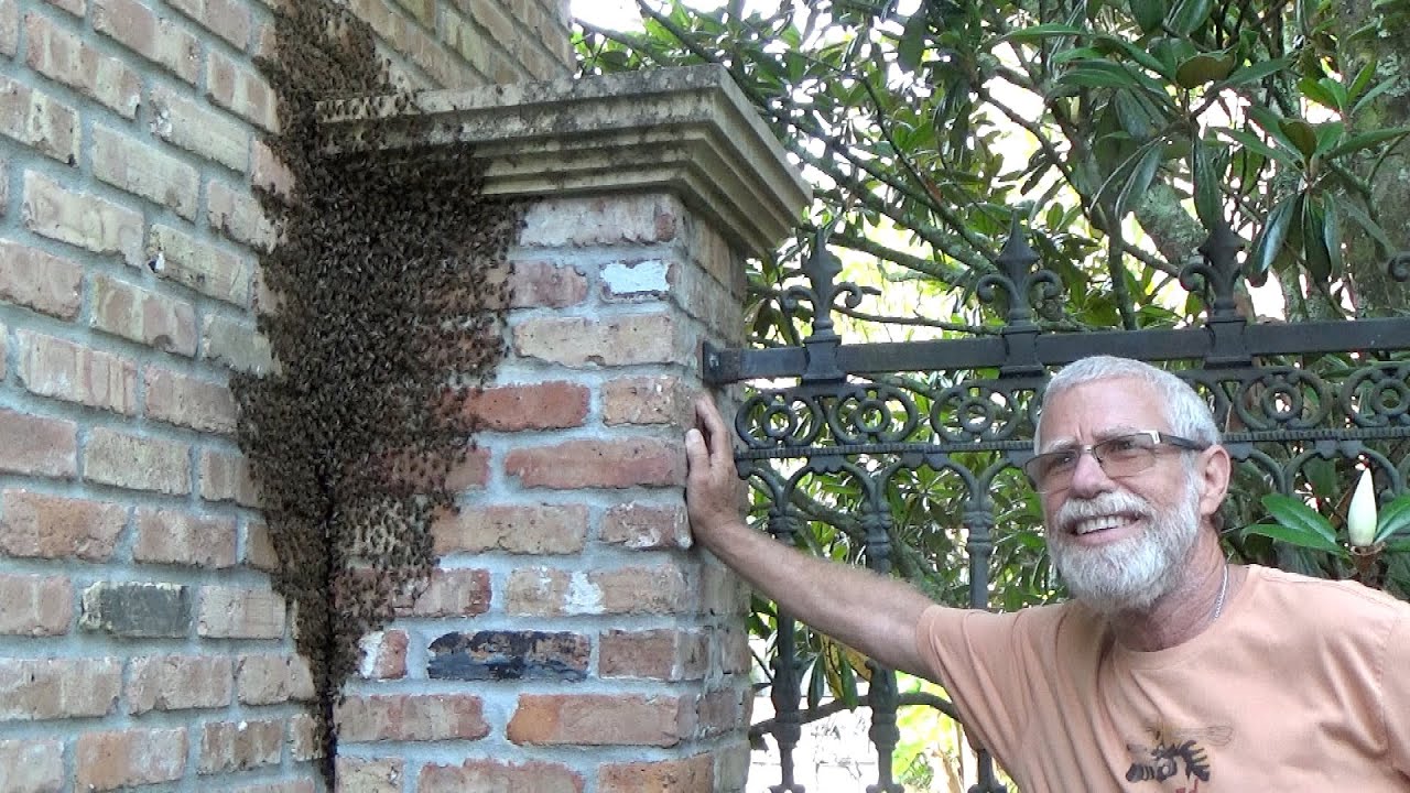 Smoking out a queen from a column and snatching another from the second removal on the same day.