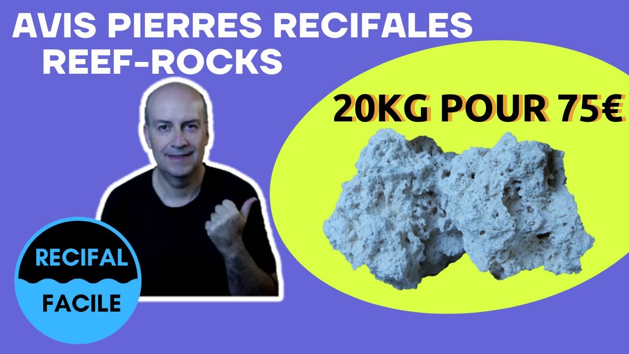 Choix Pierres Vivantes - une alternative avec les Pierres Reef Rocks -